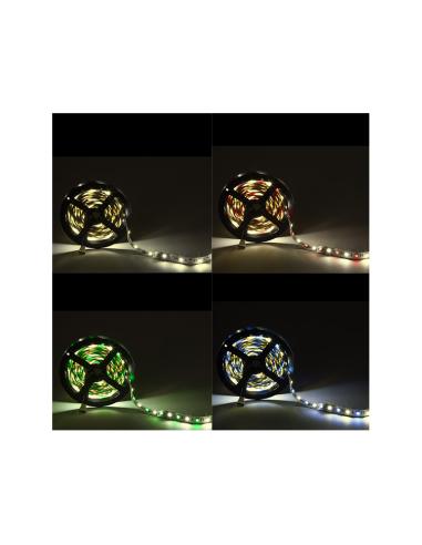 Tira 300 LED 60W 3.402Lm 3000ºK SMD5050 24VDC IP20 RGB+Blanco Cálido x5M 40.000H [CA-5050-60-24-IP20-RGB-WW]-Blanco Cálido