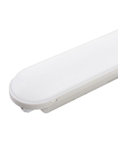 Equipo Estanco LED Philips 2835 120Cm 36W 3960Lm  IP65 [1916-TPL36W-A-CW]